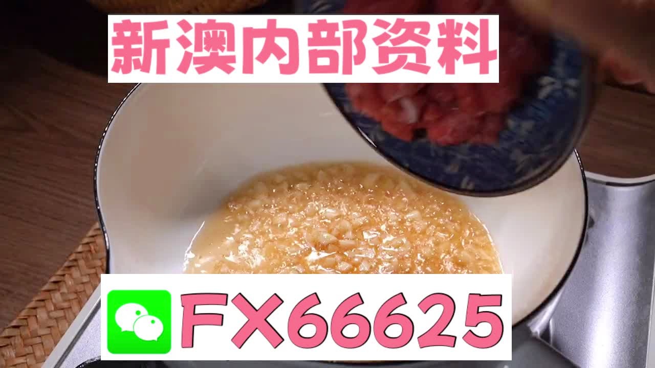 新澳门精准10码中特,精确数据解析说明_界面版94.238