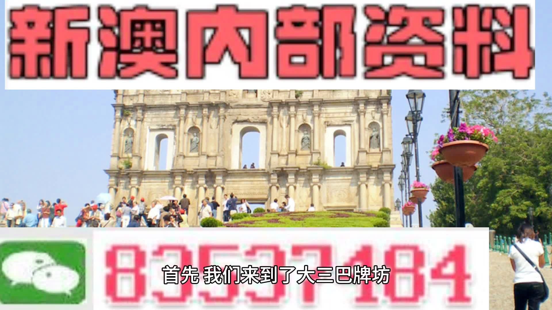 2024新澳精准资料免费,效率资料解释定义_粉丝款66.953