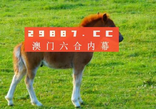 新澳门一肖一码中恃,权威分析解释定义_macOS47.461