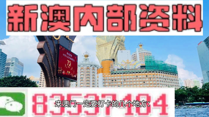 2024新澳资料免费大全,可靠解答解释落实_限量版13.691