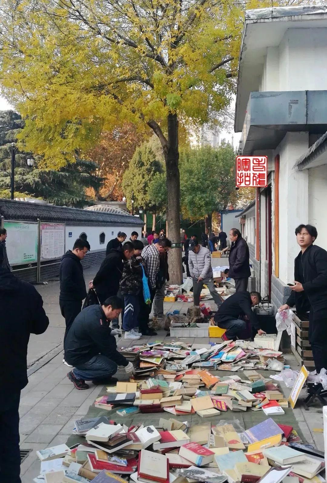 济南中山公园扩建最新进展揭秘