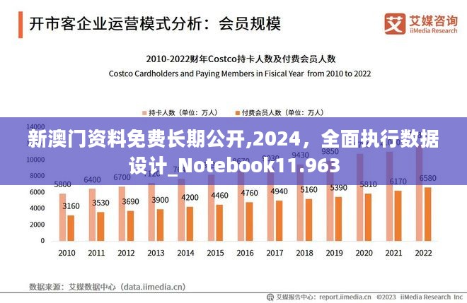 新澳2024大全正版免费,数据驱动执行设计_界面版52.943