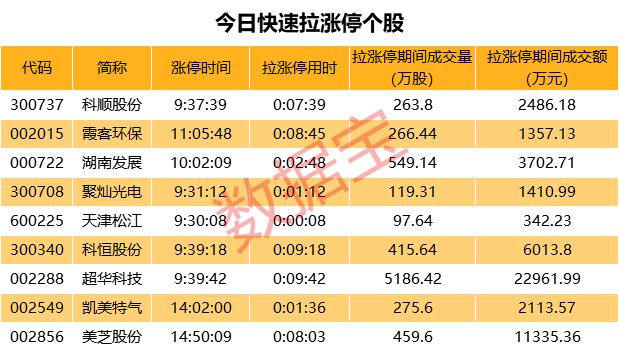 新奥资料免费精准,科技成语分析定义_特供版81.448