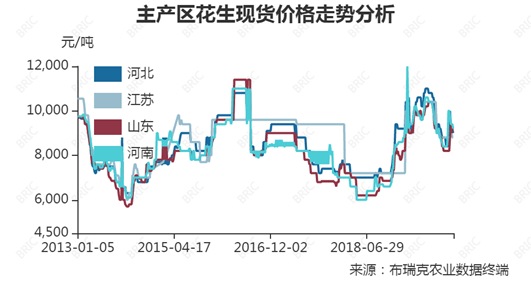 生花生价格最新行情解析