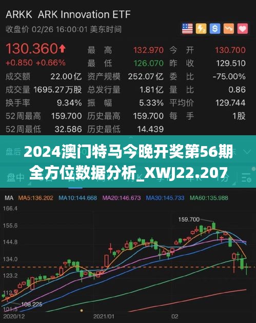 2024澳门今晚开特马开什么,互动性执行策略评估_Prime66.661