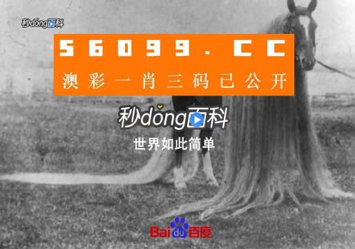 一肖一码一必中一肖,广泛解析方法评估_经典版14.482