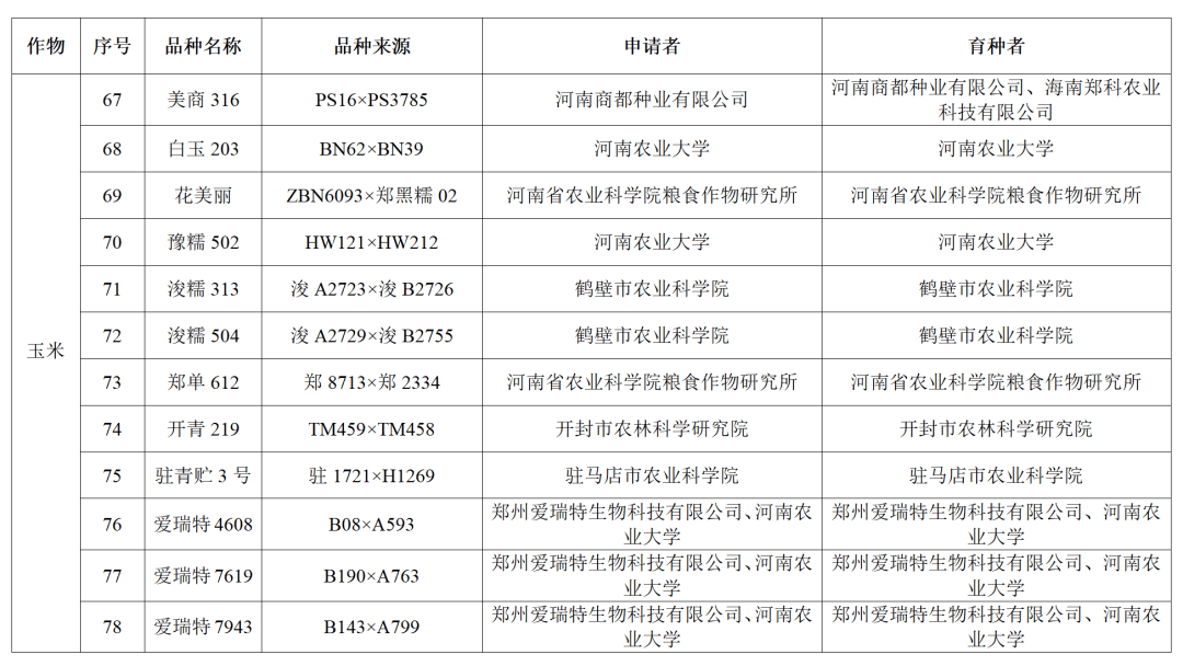 管家婆2024精准资料大全,数据实施导向策略_4DM28.770