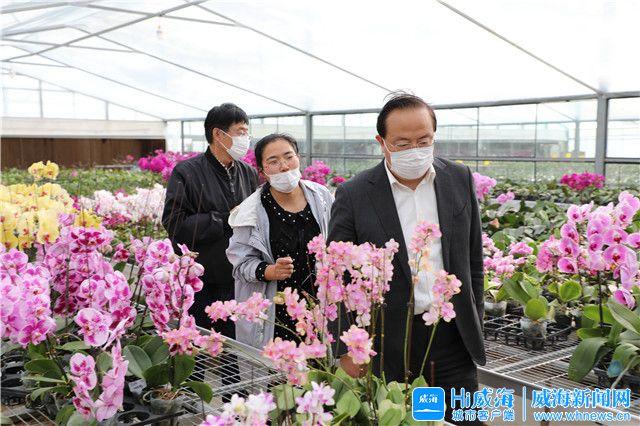 俚岛镇未来繁荣蓝图，最新发展规划揭秘