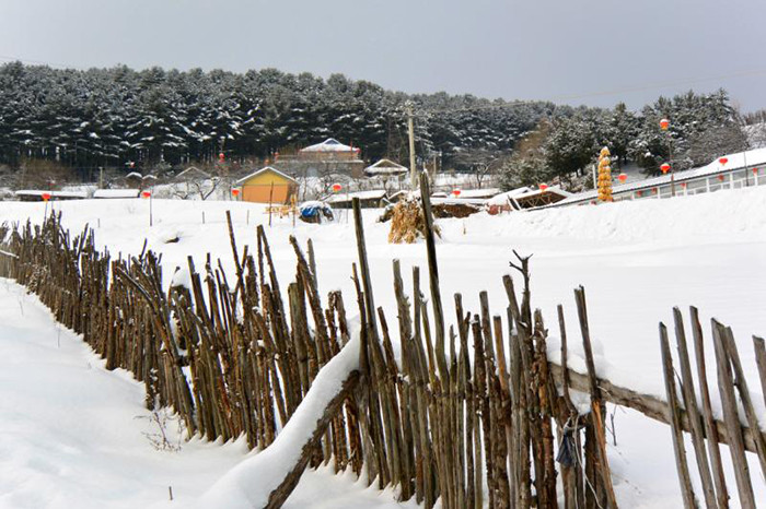 洼雪村交通状况大幅改善，村民出行更便捷，最新交通新闻报告