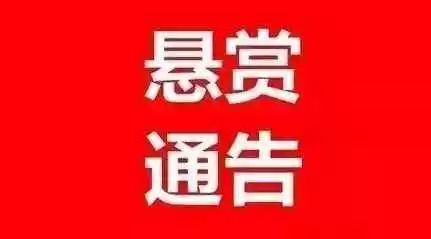 桐棉乡最新招聘信息概述