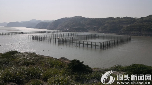 鹿西乡海岛旅游新面貌塑造规划发布