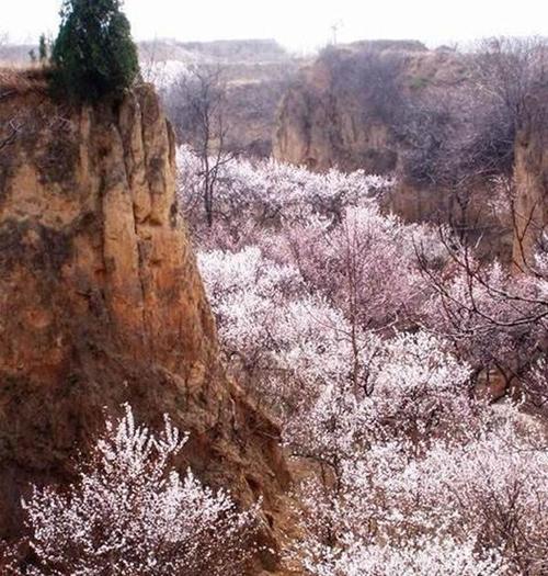 天河村民委员会，最新交通动态报道