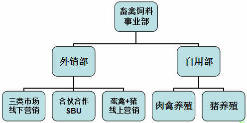 四方区民政局，最新发展规划出炉，致力于构建和谐社会，全心服务民生福祉