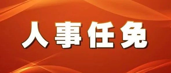 夏通街居委会人事任命，共建和谐社区，塑造未来新篇章