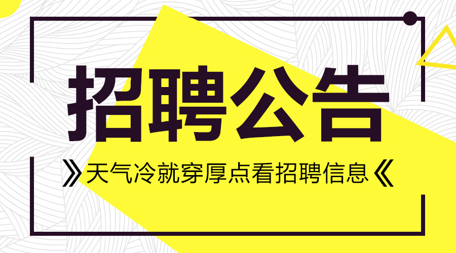 涞水县教育局最新招聘概览，职位、要求与机会全解析