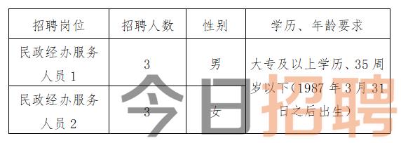 阎良区民政局最新招聘信息全面解析