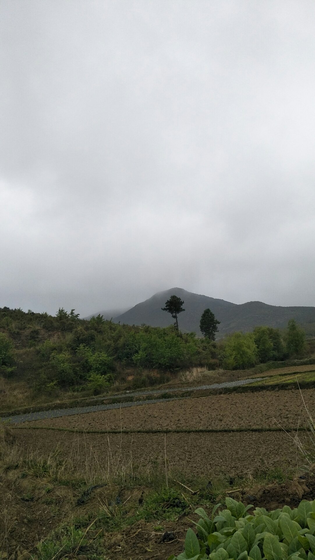 紫云镇天气预报更新通知