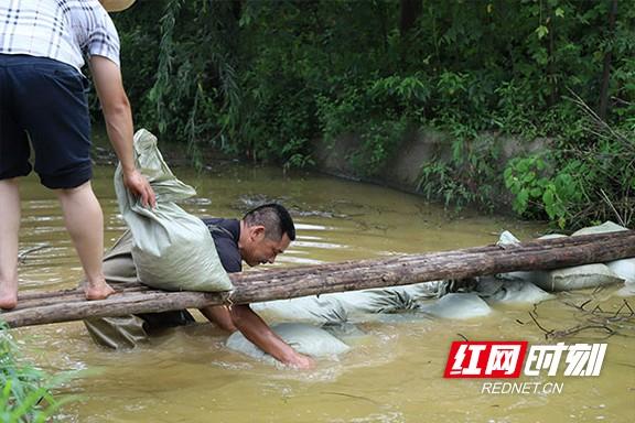 赫山区特殊教育事业单位最新招聘启事概览