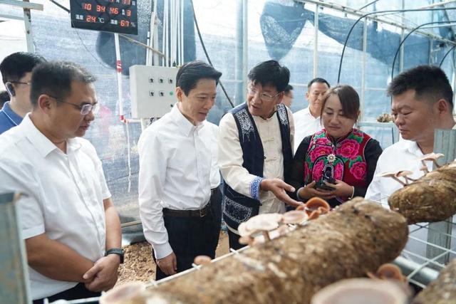 雨露乡最新项目重塑乡村魅力，引领地方发展新征程